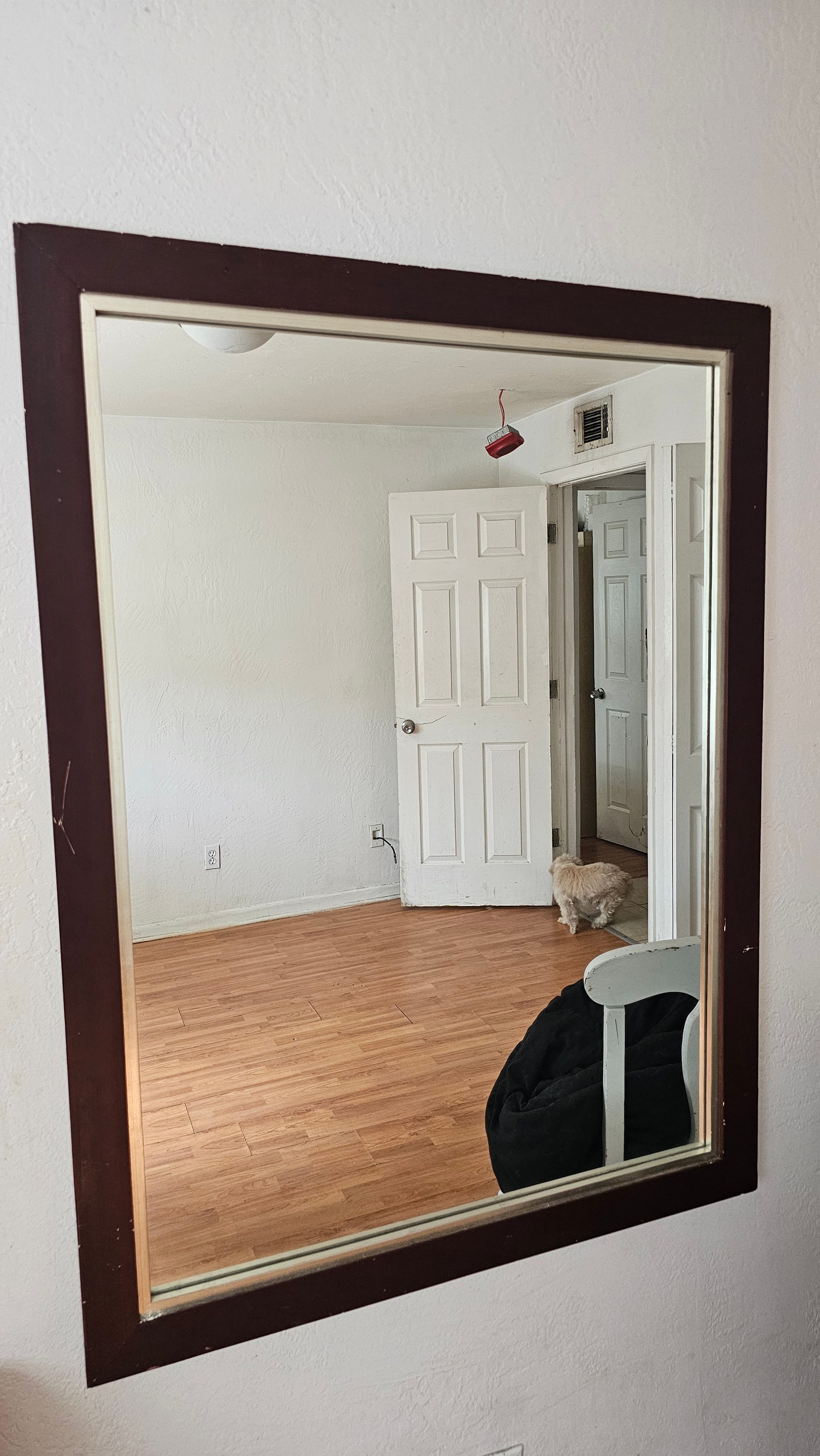 Large Wall Mirror (48" x 36") — photo 1
