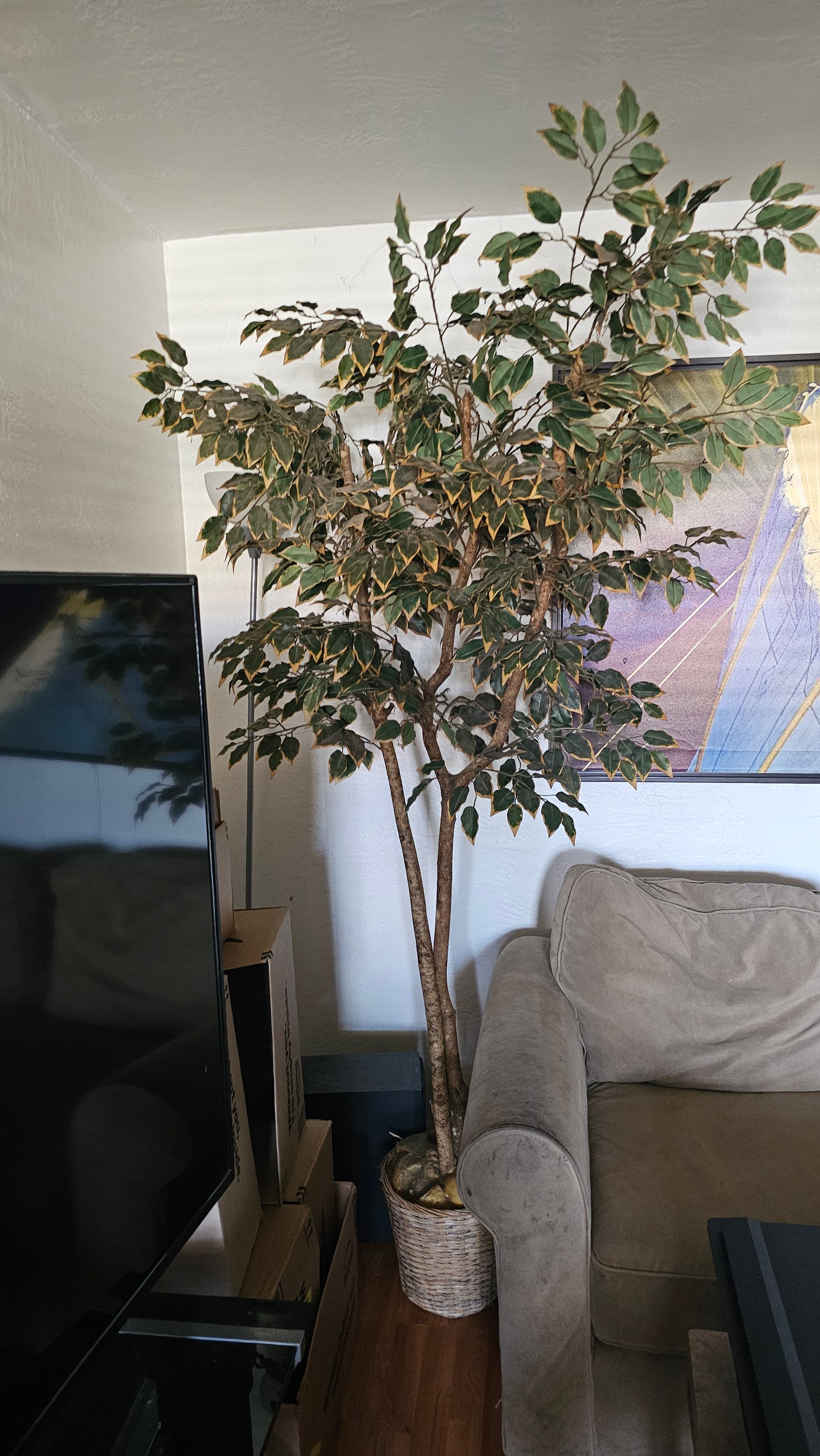 Artificial Ficus Tree — photo 2
